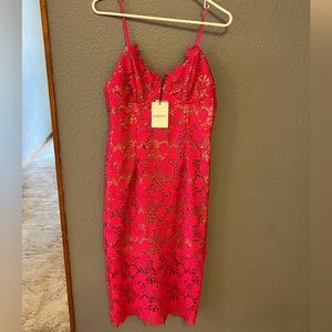 Bardot Dresses| Bardot Tayla Lace Dress